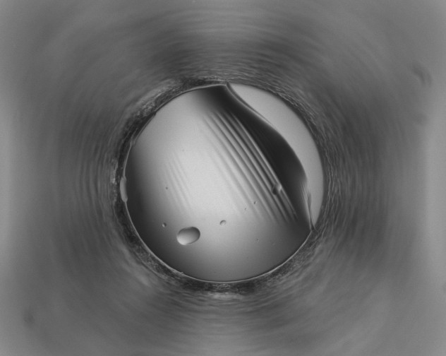 X0000112960360200909101637