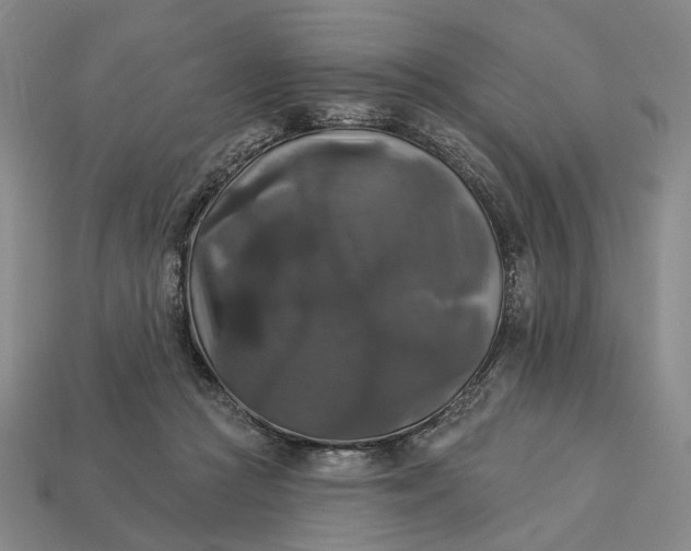 X0000112960361200909101637