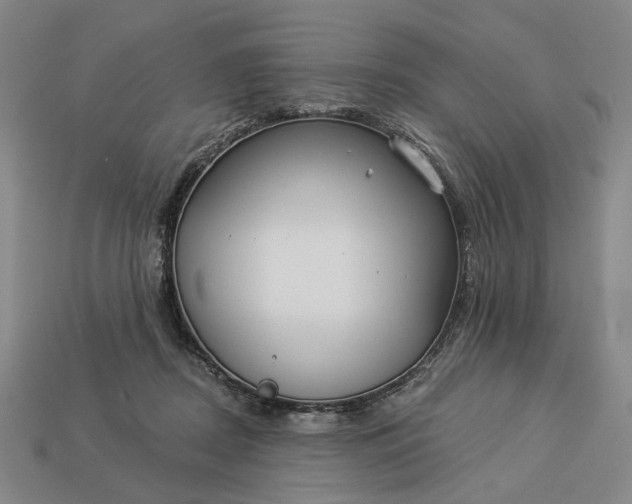 X0000112960362200909101637