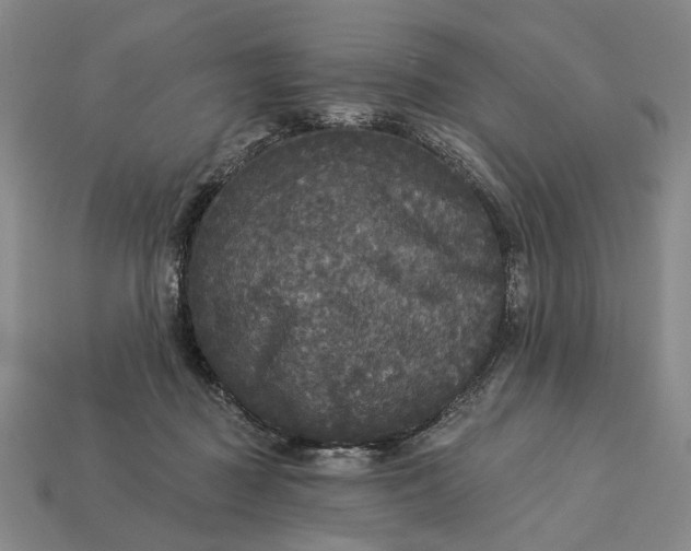 X0000112960363200909101637