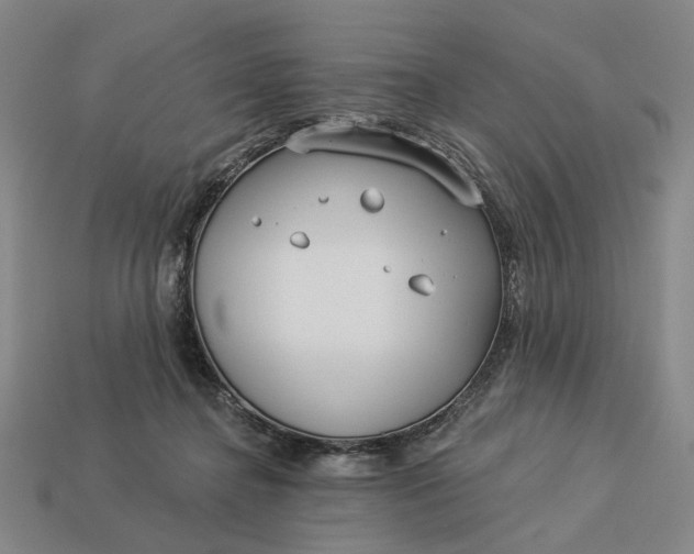 X0000112960364200909101637