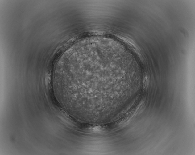 X0000112960365200909101637