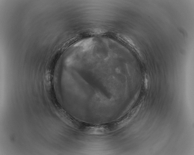 X0000112960366200909101637