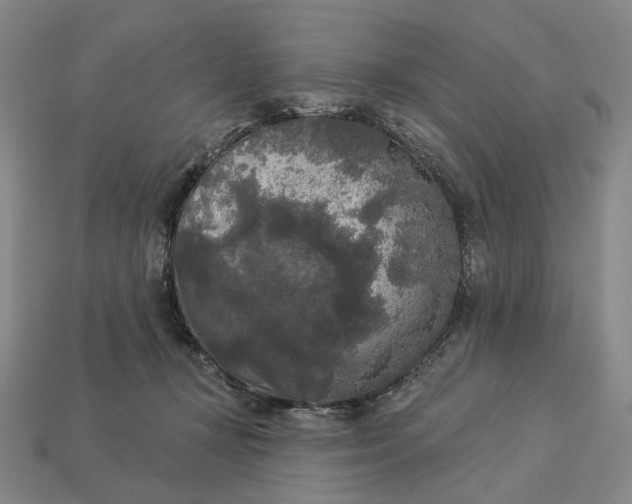 X0000112960367200909101637