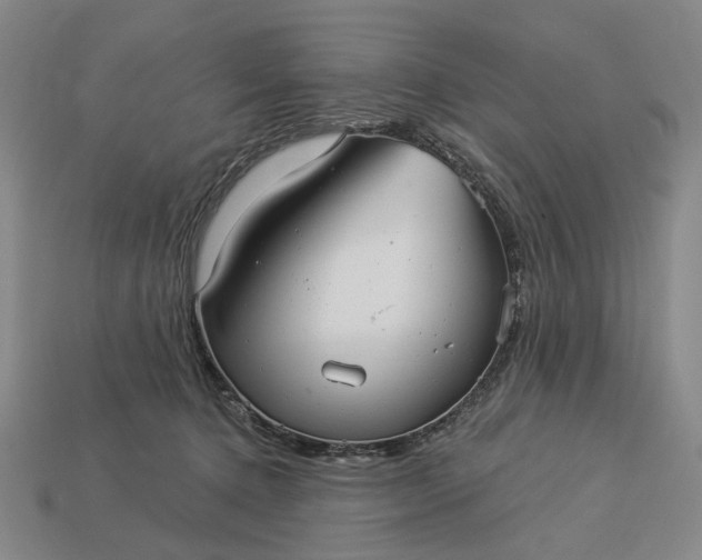 X0000112960368200909101637