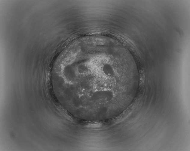 X0000112960369200909101637