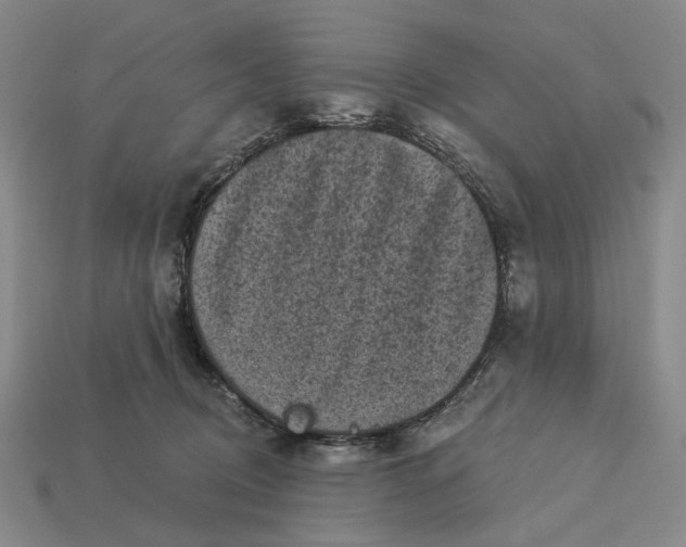 X0000112960370200909101637