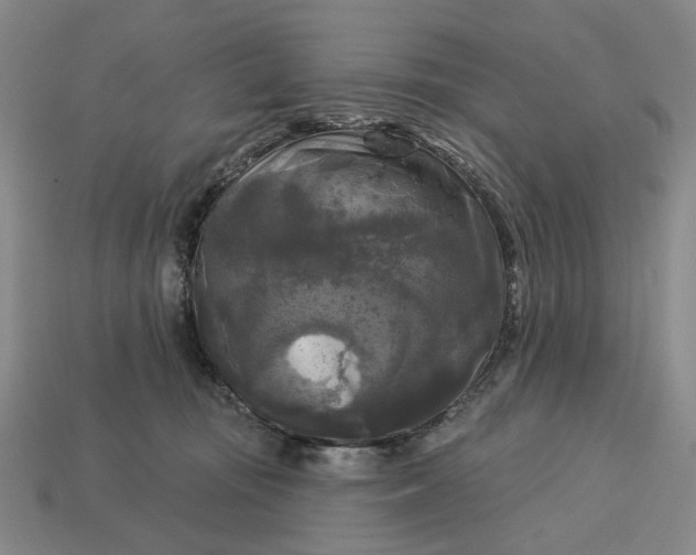 X0000112960371200909101637