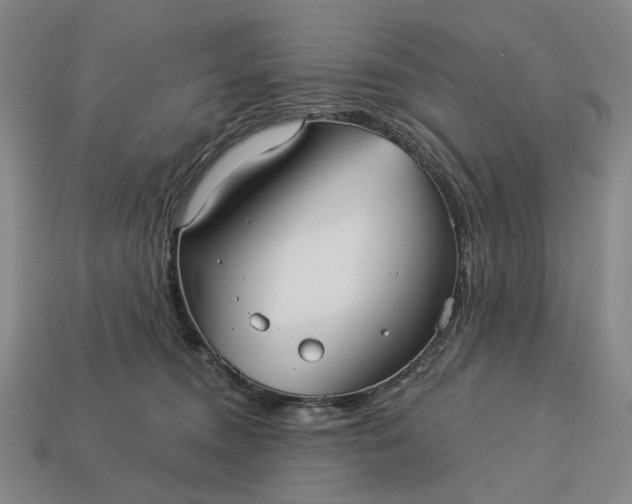 X0000112960372200909101637