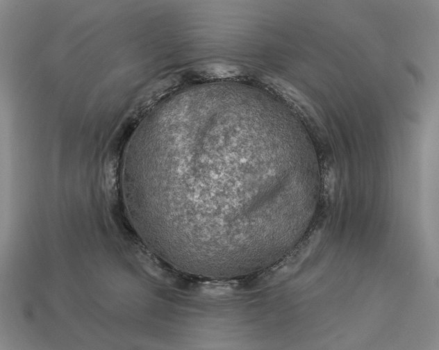 X0000112960373200909101637