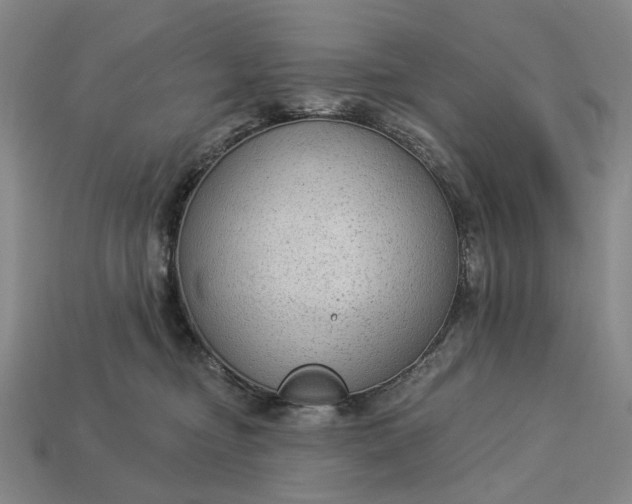 X0000112960374200909101637