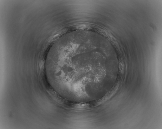 X0000112960375200909101637