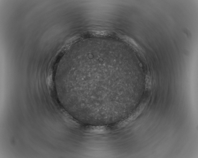 X0000112960377200909101637