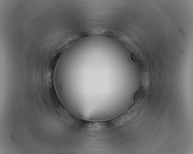 X0000112960378200909101637