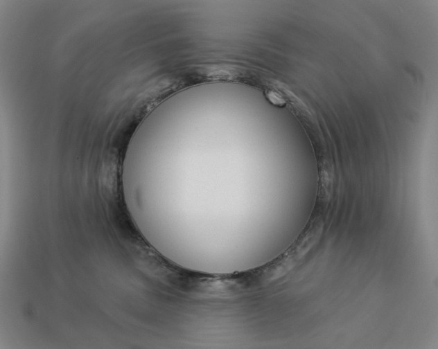 X0000112960379200909101637