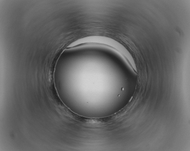 X0000112960380200909101637