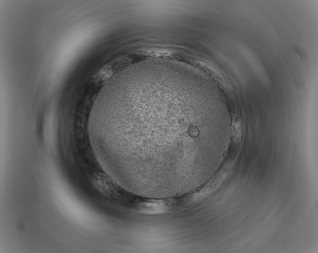 X0000112960381200909101637