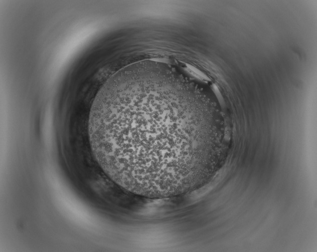 X0000112960382200909101637