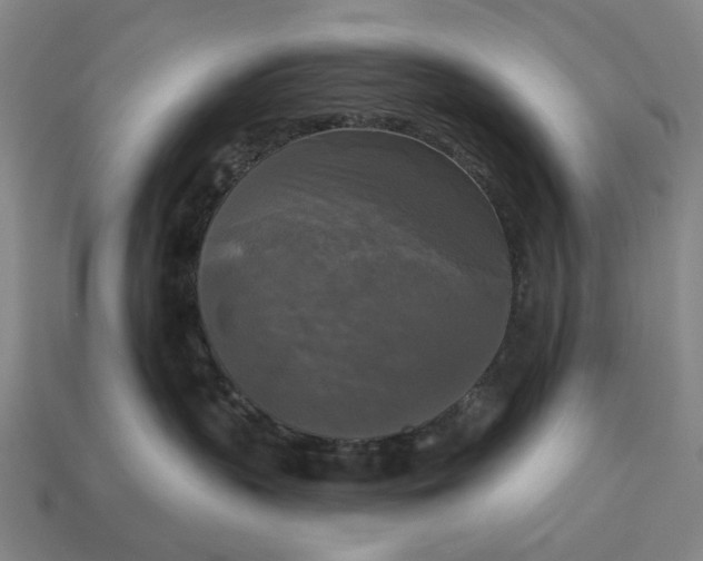 X0000112960383200909101637