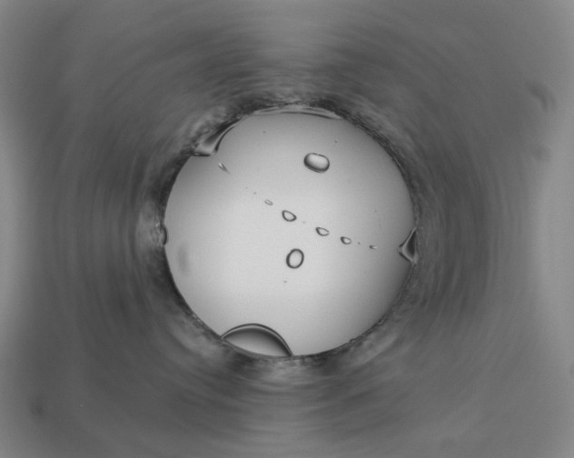 X0000112960384200909101637