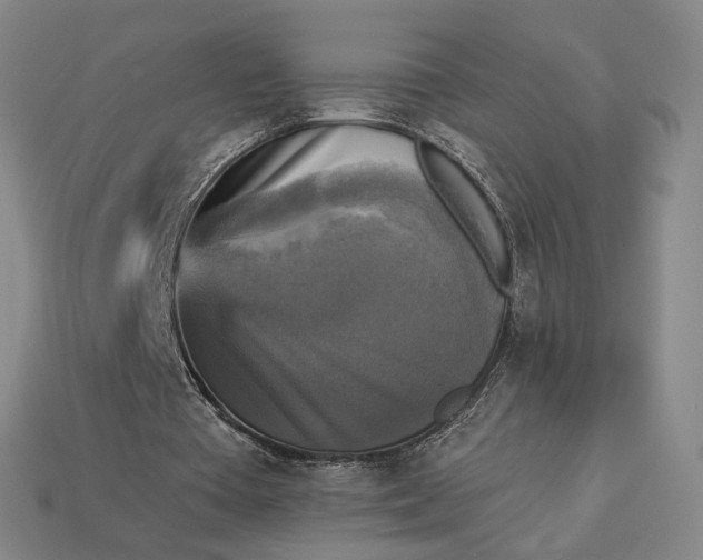 X0000112960385200909101637