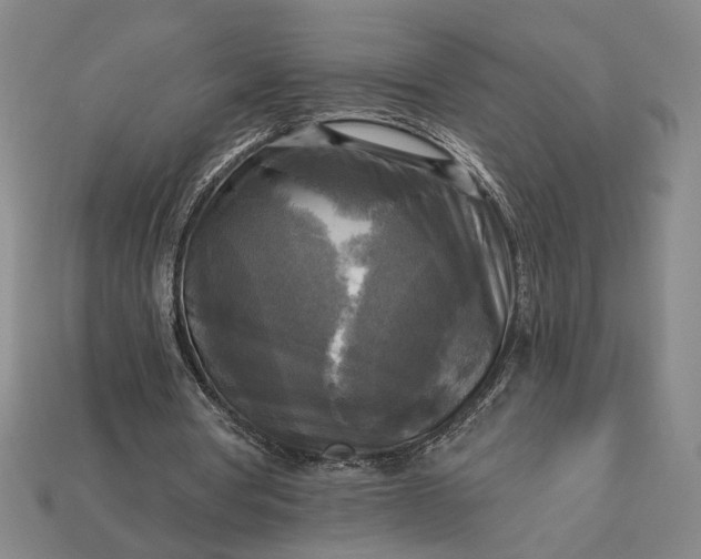 X0000112960386200909101637