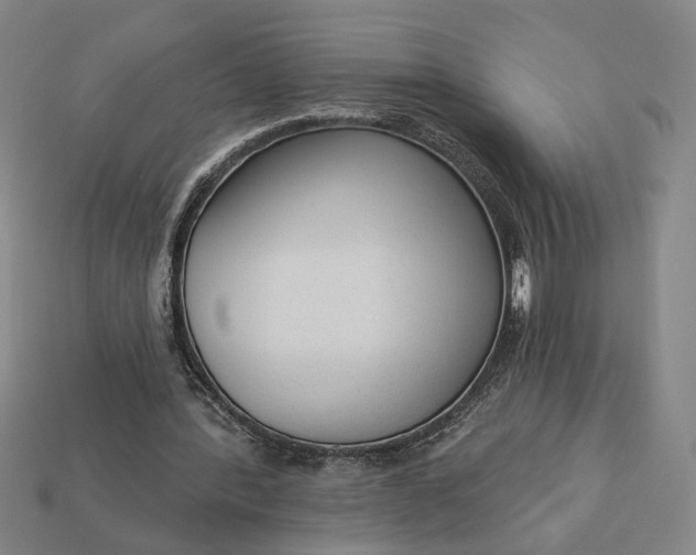 X0000112960388200909101637