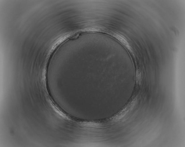 X0000112960389200909101637