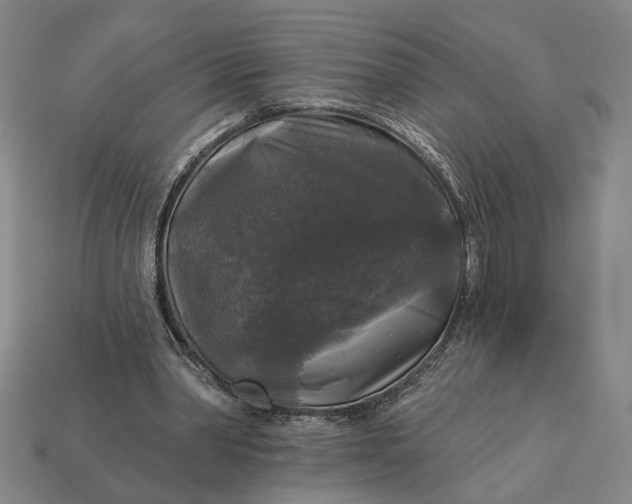 X0000112960390200909101637