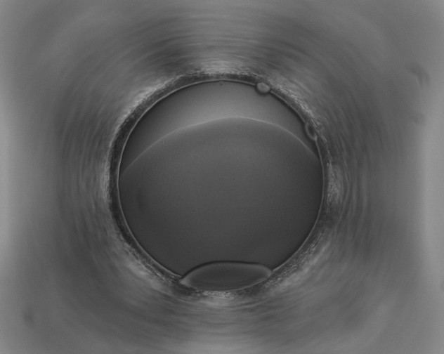 X0000112960391200909101637