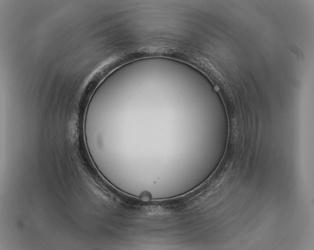 X0000112960392200909101637