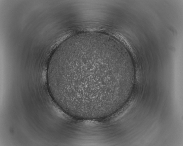 X0000112960393200909101637