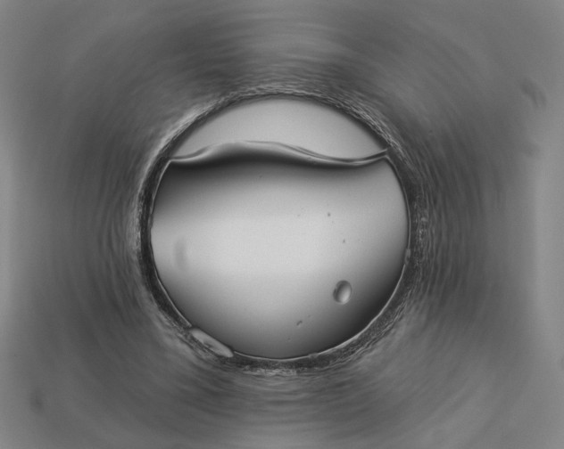 X0000112960395200909101637