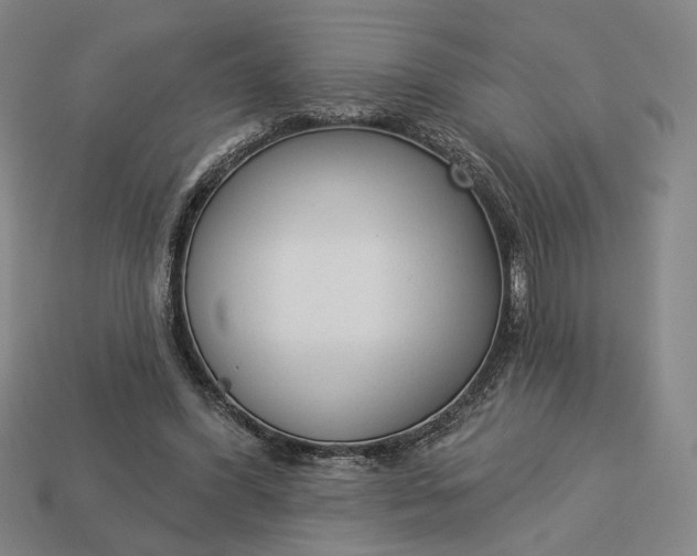 X0000112960396200909101637