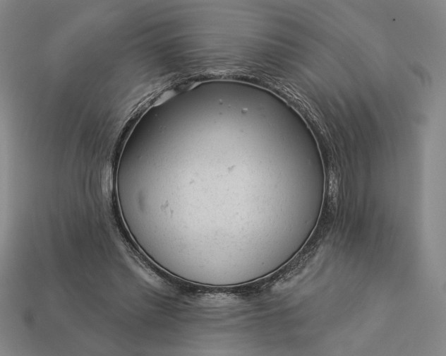 X0000112960397200909101636