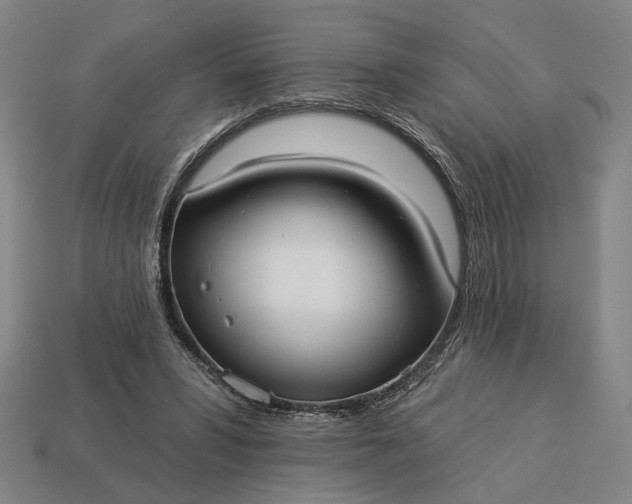 X0000112960399200909101636