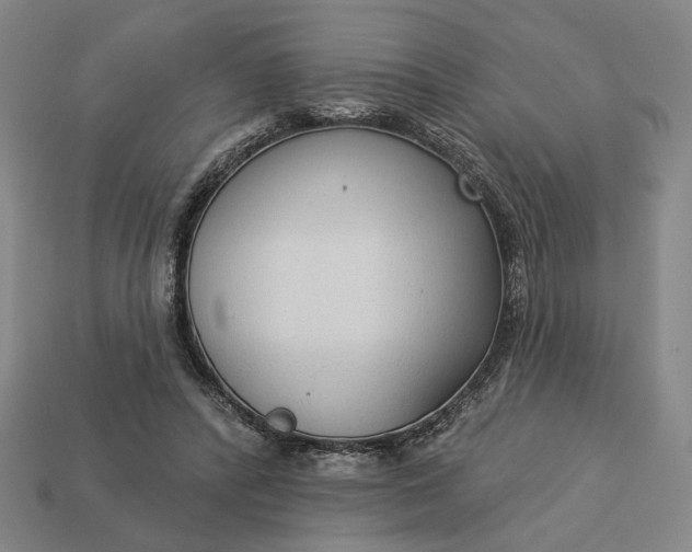 X0000112960400200909101636