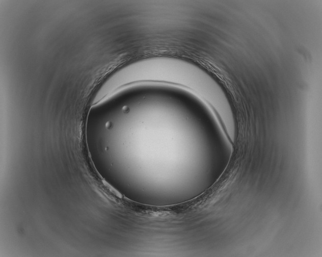 X0000112960401200909101636