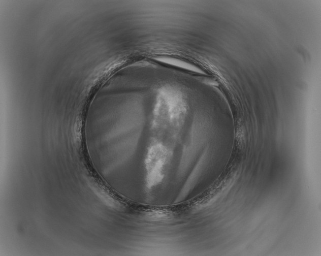 X0000112960402200909101636