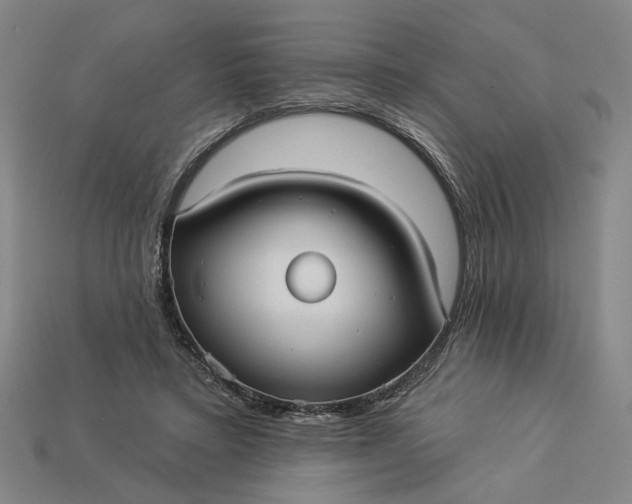 X0000112960403200909101636