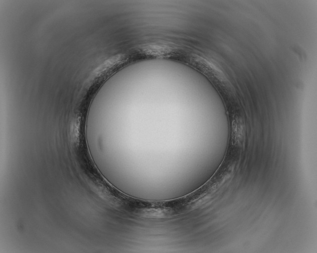 X0000112960404200909101636