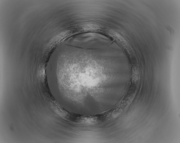 X0000112960405200909101636