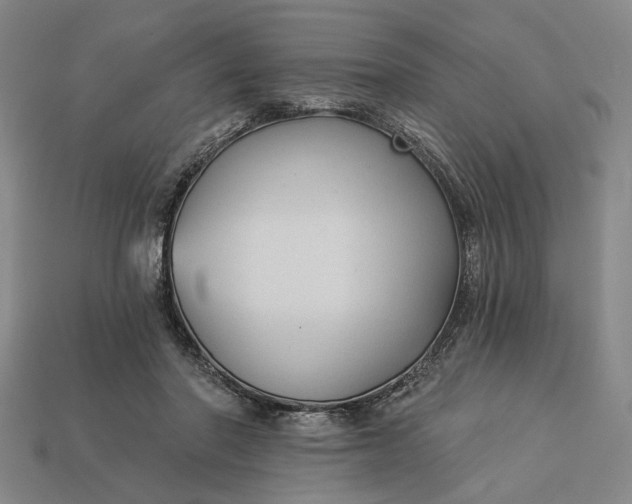 X0000112960406200909101636