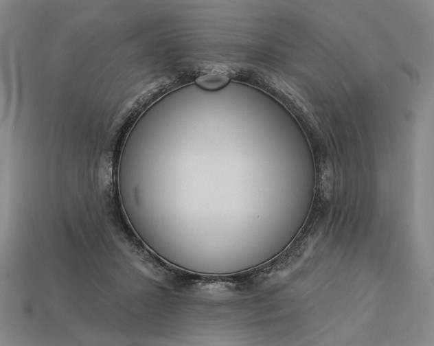 X0000112960407200909101636