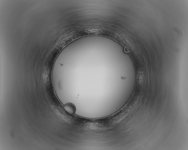 X0000112960408200909101636