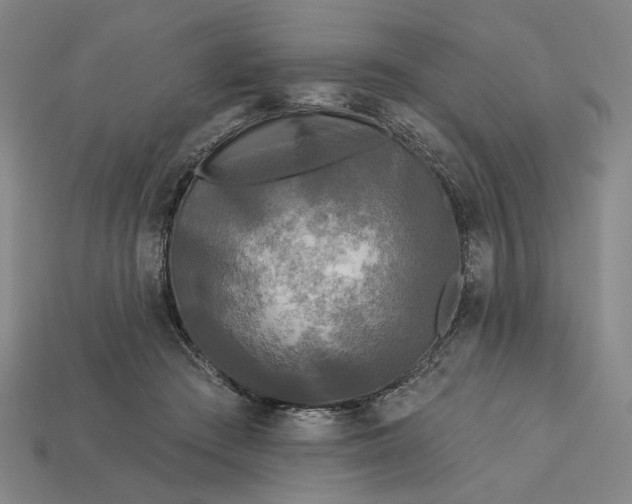 X0000112960409200909101636