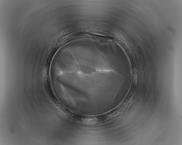 X0000112960410200909101636