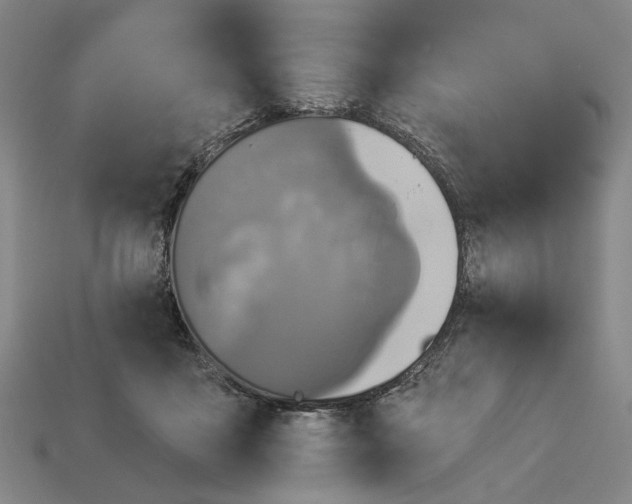 X0000112960411200909101636