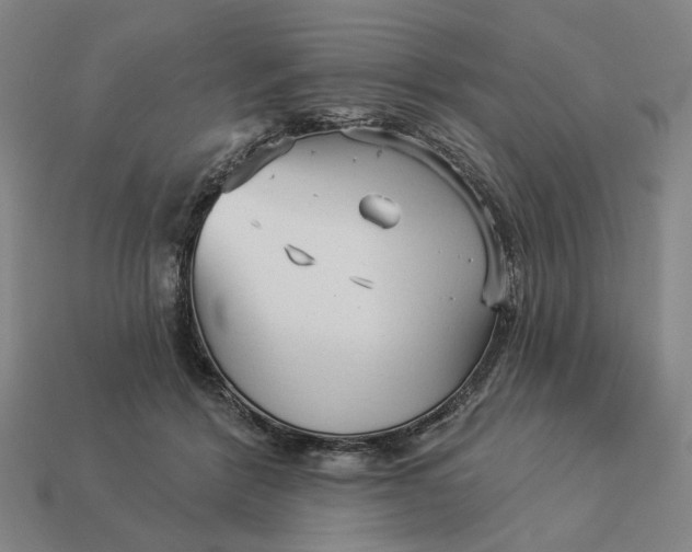 X0000112960412200909101636