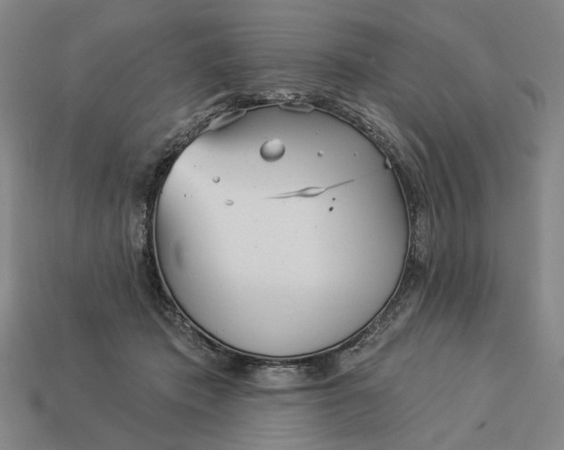 X0000112960413200909101636